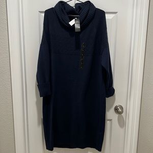 Banana Republic Eco Sweater Dress